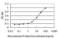 Anti-PIK3R4 Antibody