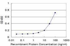 Anti-PIK4CB Antibody