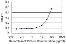 Anti-PILRA Antibody