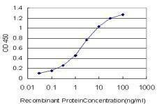Anti-PPP1R14A Antibody