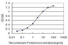 Anti-PRKCD Antibody