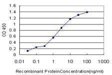 Anti-PRKG1 Antibody