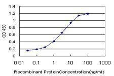 Anti-PTK9 Antibody