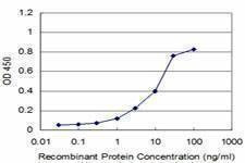 Anti-RAB9A Antibody