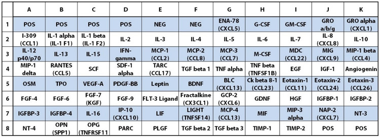Cytokine Array C5 Target Map