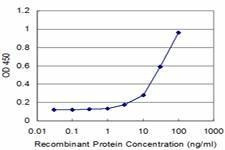 Anti-RET Antibody