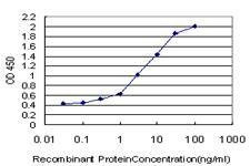 Anti-RPS2 Antibody