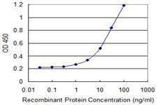 Anti-SH2D1B Antibody