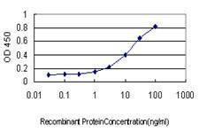 Anti-SH2D3C Antibody