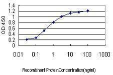 Anti-SH3BP4 Antibody