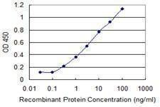 Anti-SNAPC4 Antibody