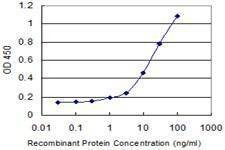 Anti-SOX15 Antibody