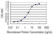 Anti-SPRR4 Antibody
