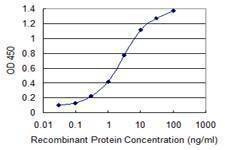 Anti-SUMO3 Antibody