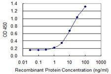 Anti-TECTA Antibody