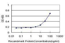 Anti-TNFRSF21 Antibody