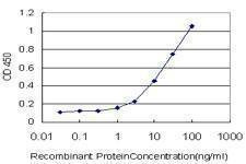 Anti-TNFRSF25 Antibody