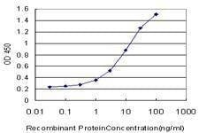 Anti-TPBG Antibody