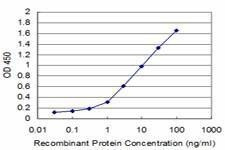 Anti-TRIM49 Antibody