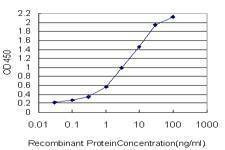 Anti-AF1Q Antibody