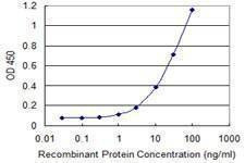 Anti-TWSG1 Antibody