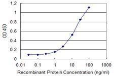 Anti-UGCG Antibody