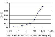Anti-UGT2B10 Antibody