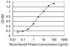 Anti-UPF3A Antibody