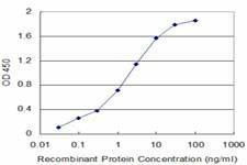 Anti-USP9X Antibody