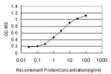 Anti-ZW10 Antibody