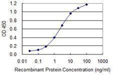 Anti-ZWINT Antibody