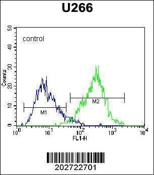 Anti-CD138 (C-term) (Ascites) Antibody
