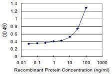 Anti-ANXA1 Antibody