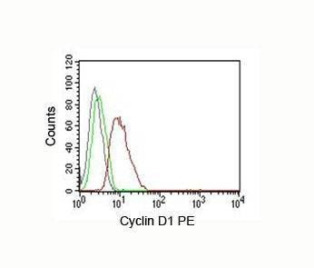 Anti-Cyclin D1 Antibody, Sodium Azide Free