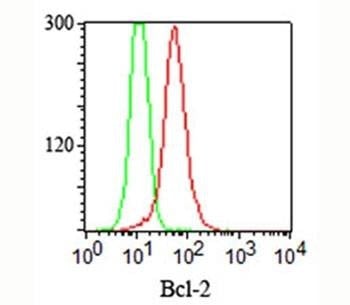 Anti-Bcl-2 Antibody, Sodium Azide Free