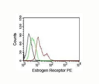 Anti-ER Antibody, Sodium Azide Free