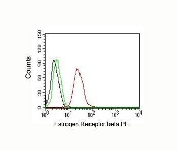 Anti-Estrogen Receptor beta Antibody