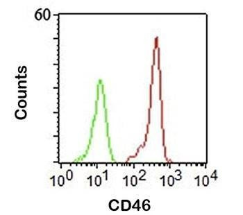 Anti-CD46 Antibody, Sodium Azide Free