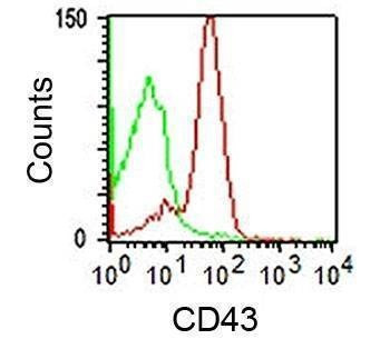 Anti-CD43 Antibody, Sodium Azide Free