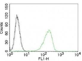 Anti-Transferrin Receptor Antibody, Sodium Azide Free