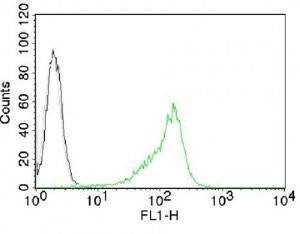 Anti-Nucleoli Marker Antibody, Sodium Azide Free