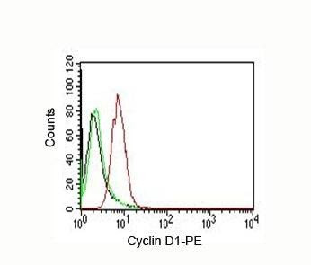 Anti-Cyclin D1 Antibody, PE