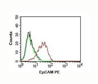 Anti-EpCAM Antibody, PE
