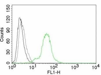 Anti-Estrogen Receptor beta Antibody, Sodium Azide Free