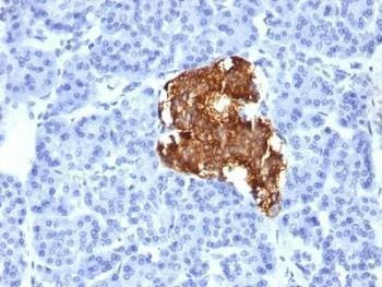 Anti-Insulin Antibody, Sodium Azide Free