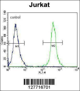 Anti-SLC43A2 (Center) Antibody