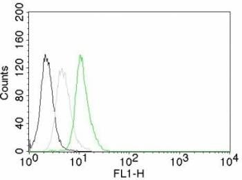 Anti-Cyclin D1 Antibody, Sodium Azide Free