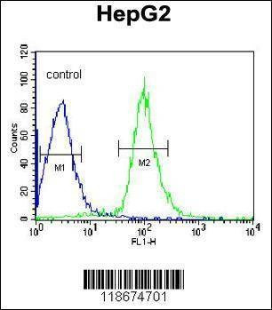 Anti-AHSG (C-term) Antibody