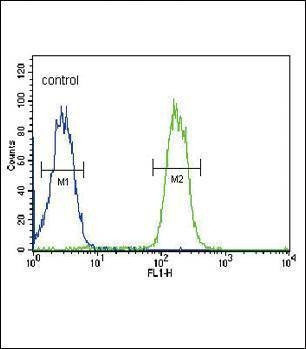 Anti-ABCC3 (Center) Antibody