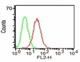 Anti-CD34 Antibody, Sodium Azide Free